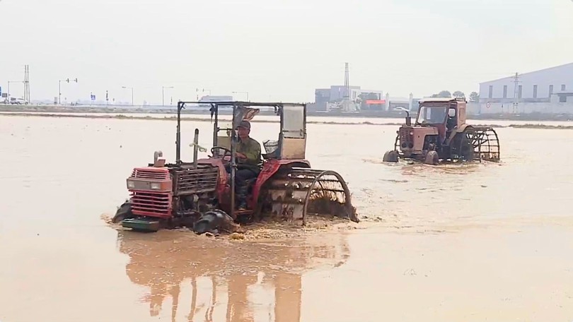 Kiểm tra tiến độ lấy nước đợi I vụ Đông Xuân