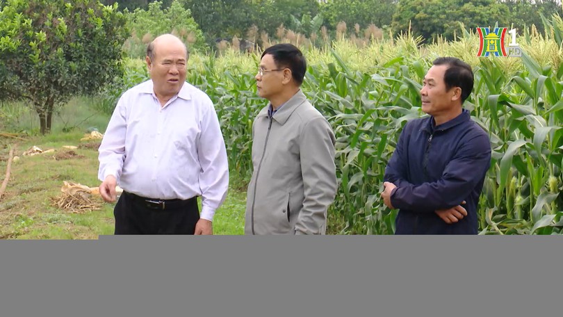 Người cựu chiến binh có tấm lòng nhân ái | Người tốt quanh ta | 29/01/2026