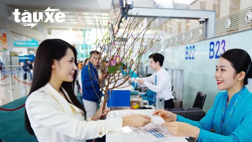 Hàng không vận chuyển đào, mai dịp Tết Bính Ngọ | Bản tin Tàu và Xe | 28/01/2026
