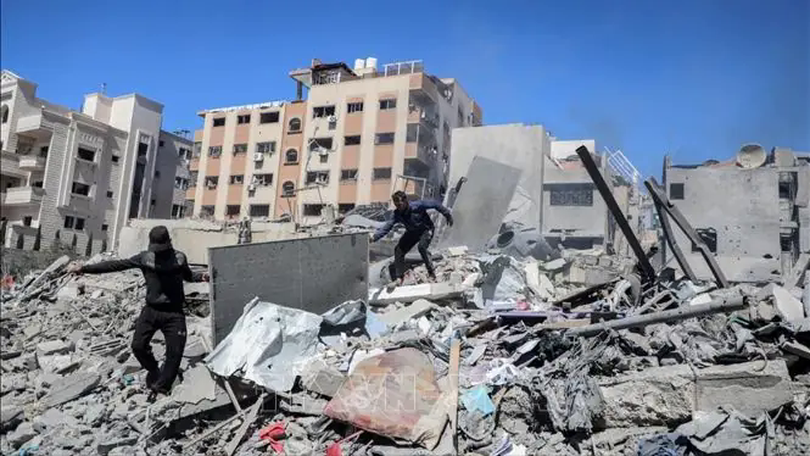 Các nước Ả Rập, Hồi giáo quan ngại về tình hình Gaza
