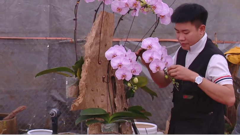 Thị trường hoa sôi động dịp cận Tết