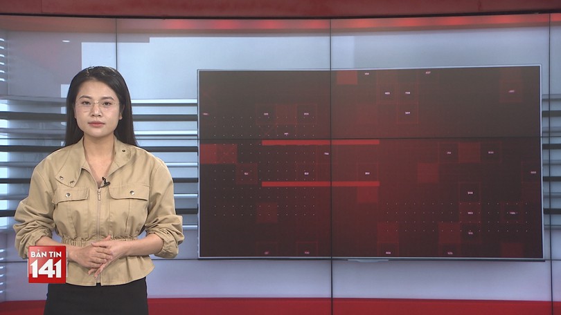 Bản tin 141 | 31/01/2026