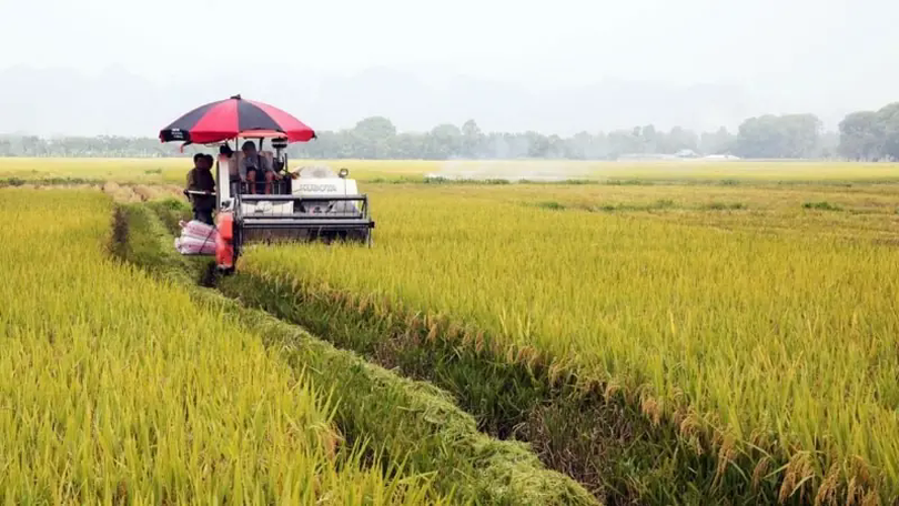 Nông nghiệp Hà Nội tăng trưởng 3,55%