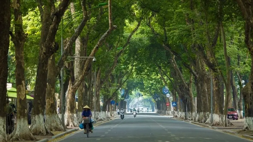 Thời tiết 10/1: Nền nhiệt tăng sau 10 giờ sáng, có nắng nhẹ