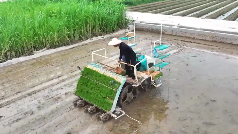 Hà Nội tạo đà cho sản xuất xanh | Sản xuất xanh - Năng lượng sạch | 26/09/2026