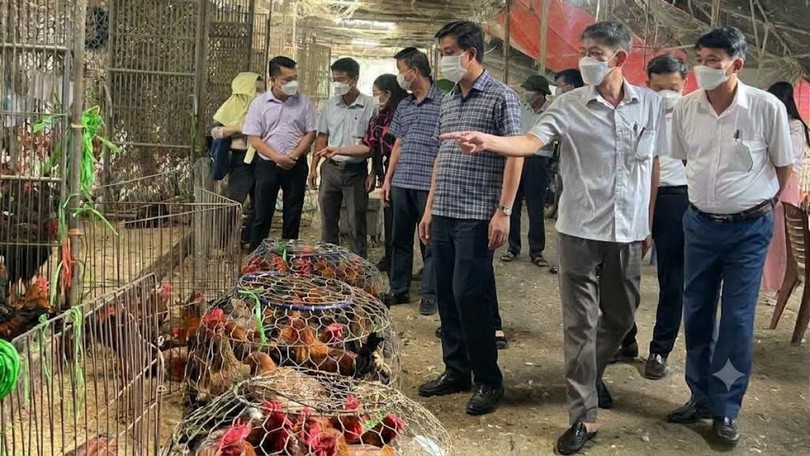 Hà Nội lấy 120 mẫu giám sát tại các chợ đầu mối | Sống an toàn | 03/10/2026