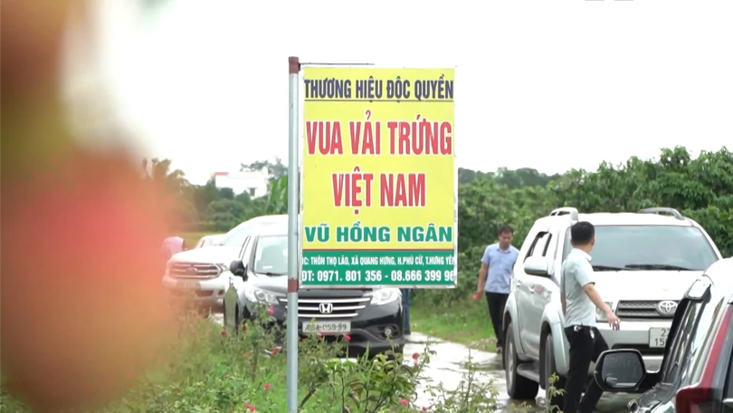 Vũ Hồng Ngân - Người làm thương hiệu từ trái vải quê hương | Con đường doanh nhân | 04/10/2026