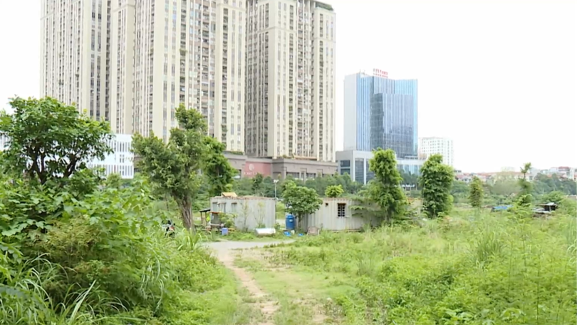 Đề xuất đánh thuế đất bỏ hoang gấp 7 lần đất trong hạn mức