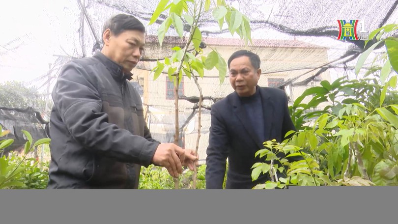 Nguời ươm mầm cho tương lai  | Người tốt quanh ta | 11/02/2026