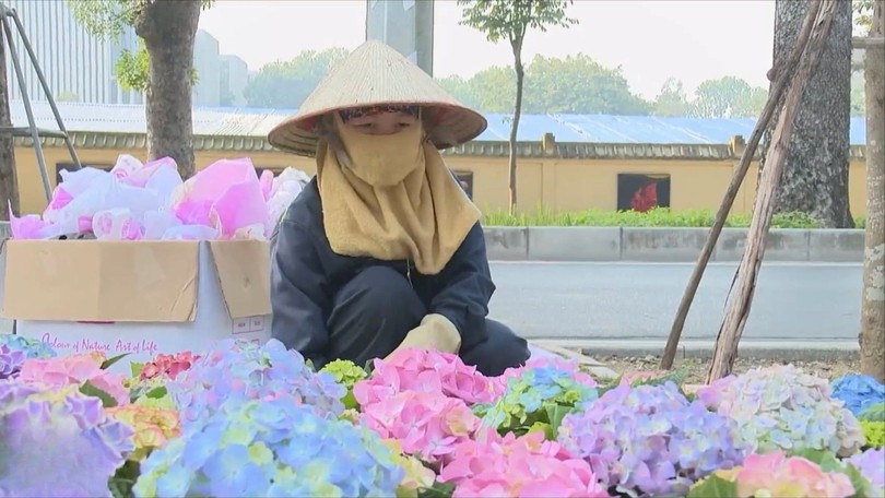 Phố phường Hà Nội rực rỡ chào đón Xuân