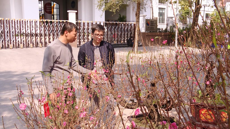 Thị trường hoa và cây cảnh Tết giữ giá chờ sức mua