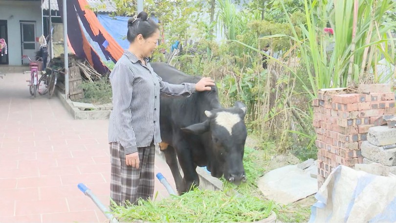 Trao sinh kế - Trao khởi đầu mới