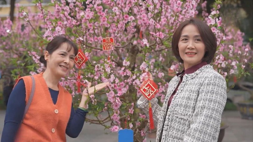 Vườn hoa nội đô – điểm hẹn vui xuân giữa lòng thành phố