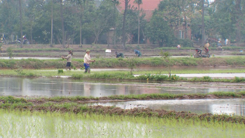 Vụ Đông Xuân không còn nỗi lo thiếu nước
