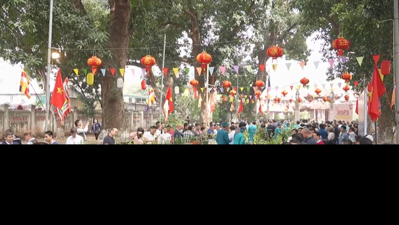 Lễ trưng bày và thi hoa Địa Lan xuân Bính Ngọ