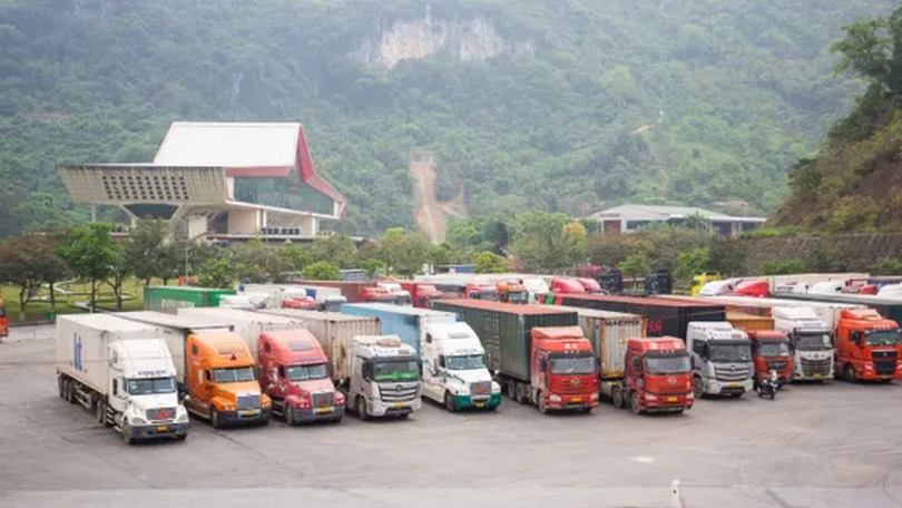 Đẩy nhanh thông quan thực phẩm sau tạm dừng Nghị định 46