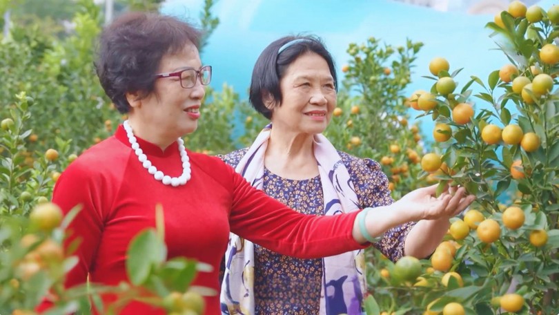 Chợ hoa xuân Tây Hồ giữ hồn Tết Hà Nội