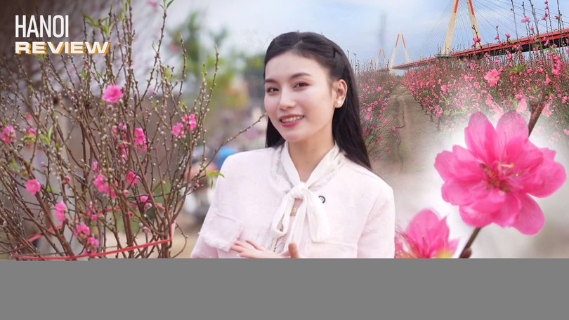 Về làng Nhật Tân chọn đào chơi Tết | HANOI Review | 07/02/2026