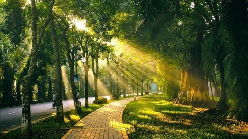 Thời tiết 19/3: Hà Nội trời nắng, nhiệt độ cao nhất 28 độ