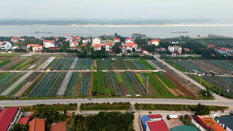 Nông nghiệp đô thị - Nơi đất đai khơi nguồn