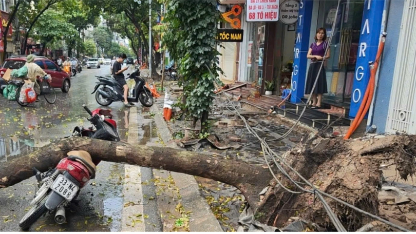 Cắt tỉa cây xanh, đảm bảo an toàn giao thông