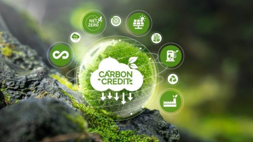 Thúc đẩy thị trường carbon cho chuyển đổi bền vững