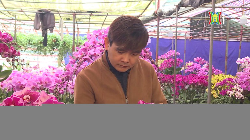 Chàng trai khiếm thị làm giàu từ vườn lan | Người tốt quanh ta | 20/02/2026