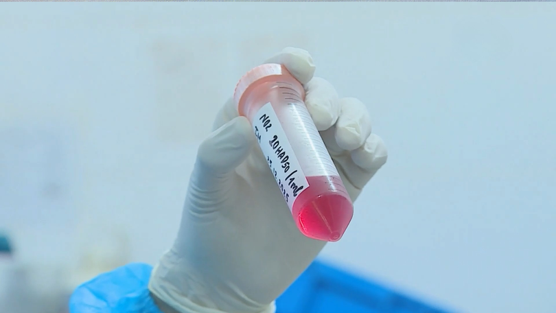 Công bố khả năng bảo hộ của vaccine dịch tả lợn châu Phi