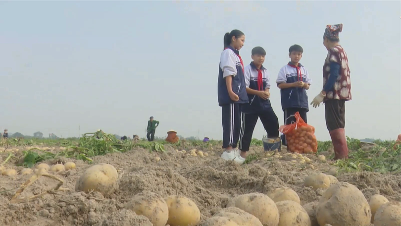 Du lịch xanh từ những cánh đồng quê