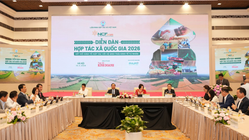 Kết nối hợp tác xã với kinh tế tư nhân