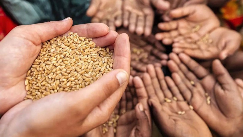 FAO cảnh báo nguy cơ khủng hoảng lương thực toàn cầu