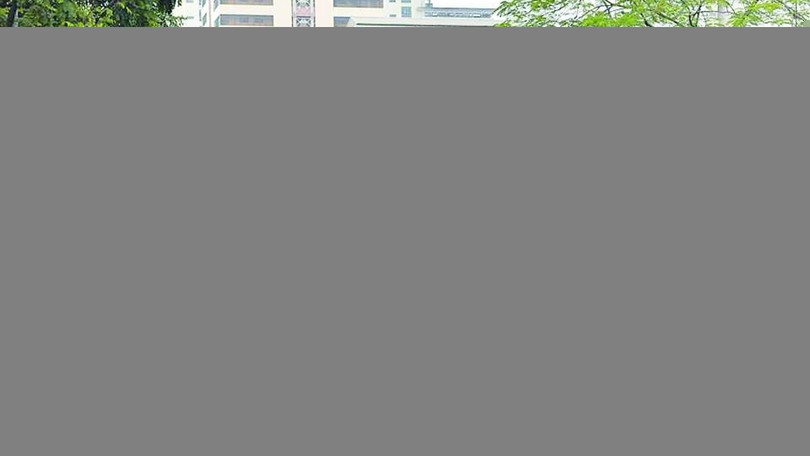 Hà Nội chuyển đổi thêm 53 xe buýt điện trên ba tuyến