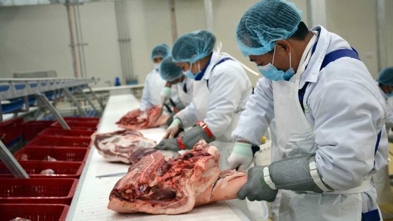 Hà Nội siết chặt kiểm soát giết mổ, đảm bảo ATTP