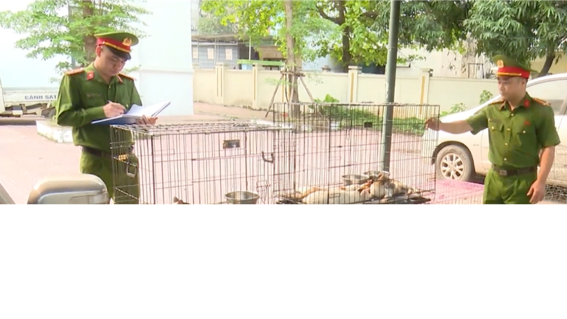 Công an Hà Nội ngăn chặn các vụ trộm cắp chó, mèo trên địa bàn