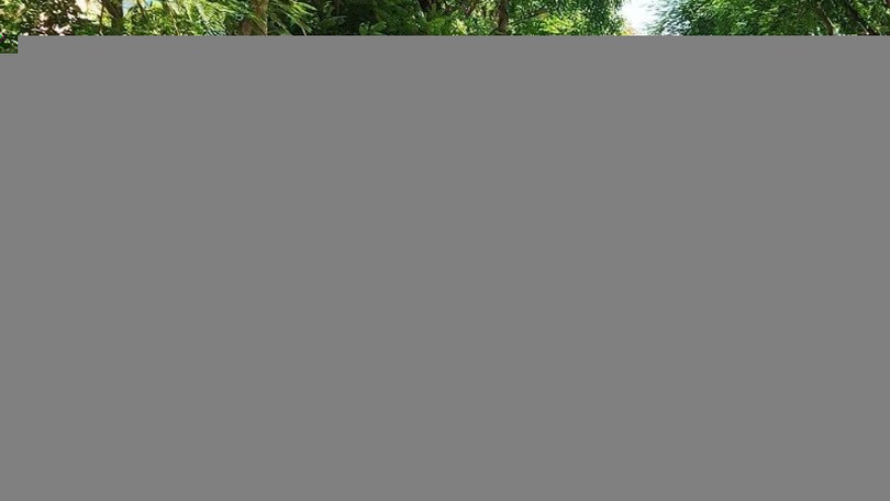 Thời tiết 3/4: Hà Nội ngày nắng, chiều tối có mưa dông