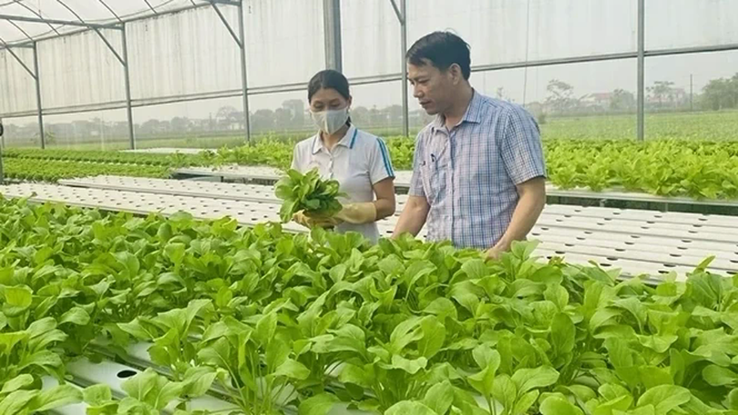 Phấn đấu có thêm 1.000 hợp tác xã trong năm 2026