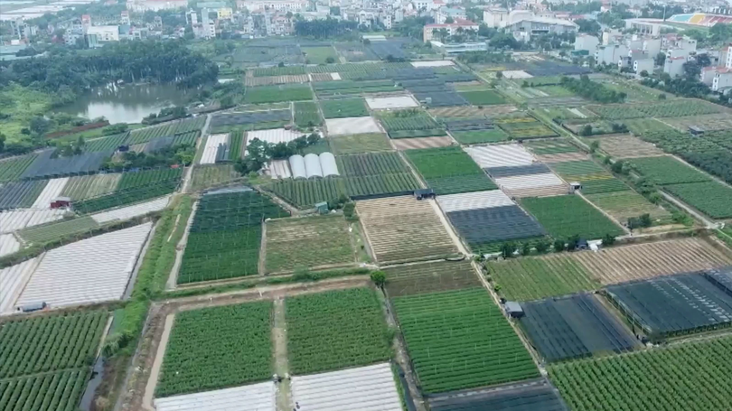 Kiên quyết xử lý các dự án không triển khai, 'ôm đất, giữ chỗ'