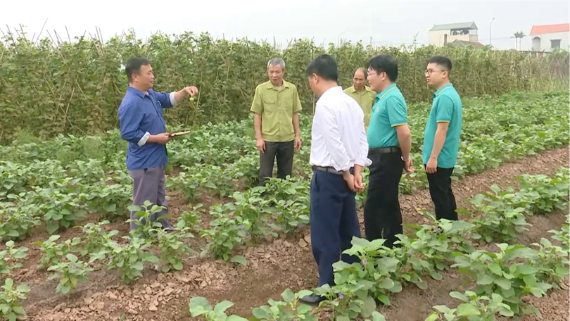 UBND cấp xã được cấp phép xây dựng trên đất nông nghiệp