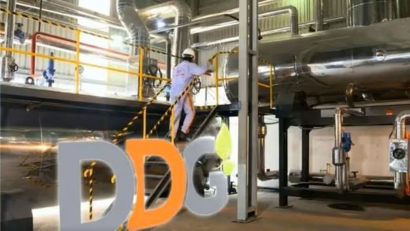DDG đứng trước nguy cơ hủy niêm yết do thua lỗ