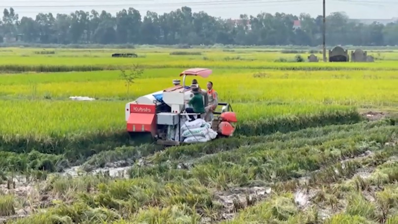 Xã Kiều Phú duy trì ANTT, ổn định giá dịch vụ mùa thu hoạch