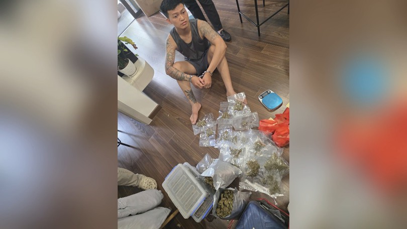 Bắt giữ các đối tượng buôn cần sa