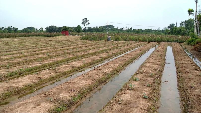 Lãng phí nguồn lực đất đai từ các dự án chậm triển khai
