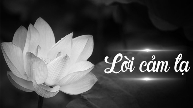 Lời cảm ơn