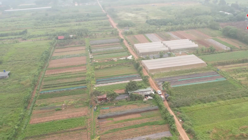 Phát triển mô hình mới mang lại hiệu quả | Nông nghiệp nông thôn | 16/04/2026