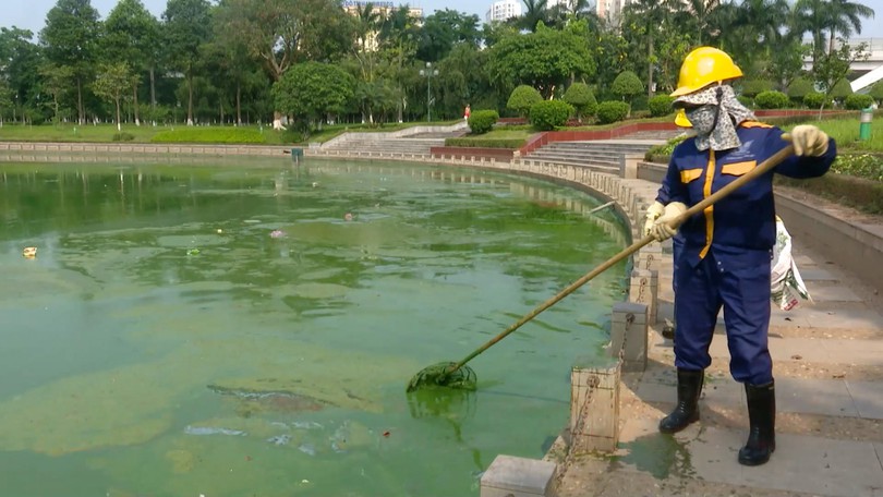 Hồ điều hòa Công viên Hòa Bình đang bị ô nhiễm