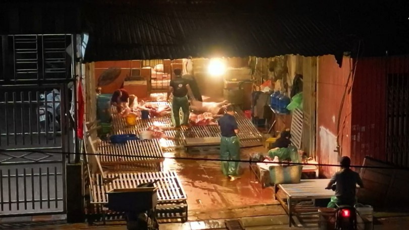 Kiểm soát chặt chẽ hoạt động giết mổ tự phát | Hộp thư truyền hình | 10/05/2026