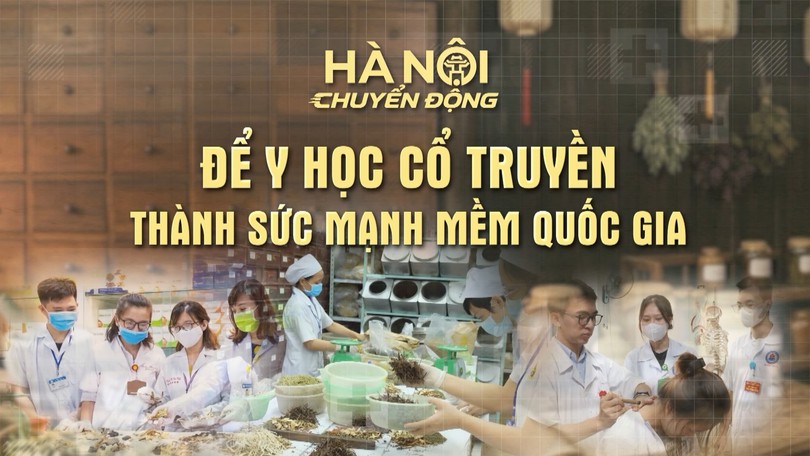 Để y học cổ truyền thành sức mạnh mềm quốc gia