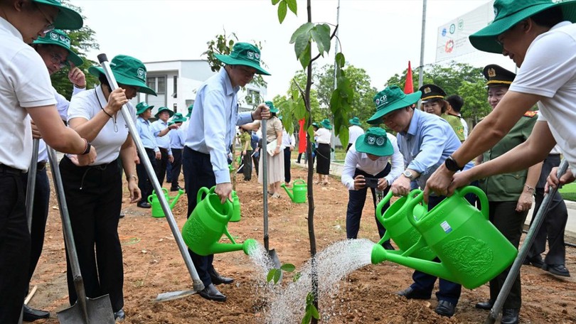 Trồng mới 1,5 triệu cây xanh, chung tay phòng chống suy thoái đất