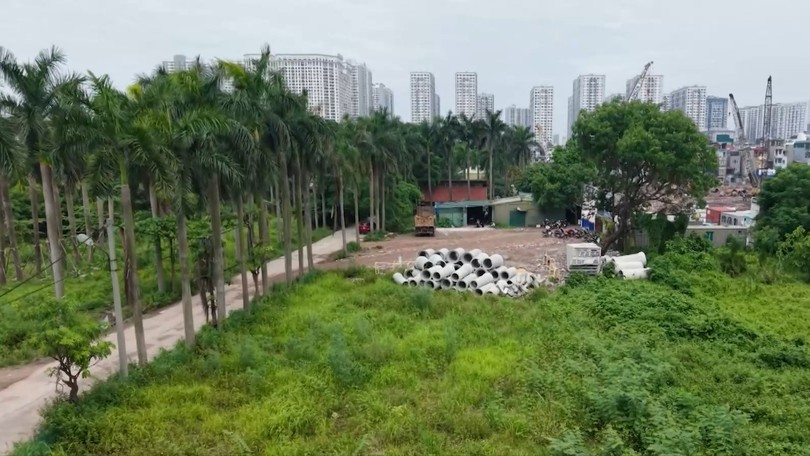 Bao giờ khu sinh thái Vĩnh Hưng hồi sinh?