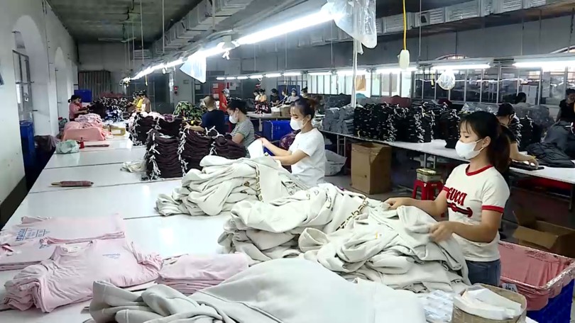 Nhiều tiêu chuẩn xanh khi xuất khẩu vào EU | Thủ đô và thế giới | 28/06/2026